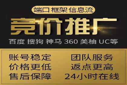 百度竞价排名案例解析：如何快速提升网站流量